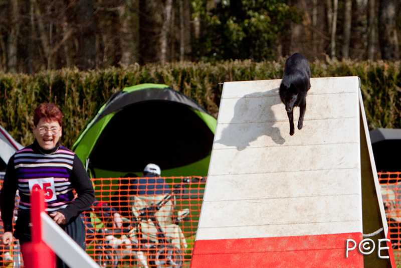 090315_MG_3093.jpg - Agility à Chamouilley