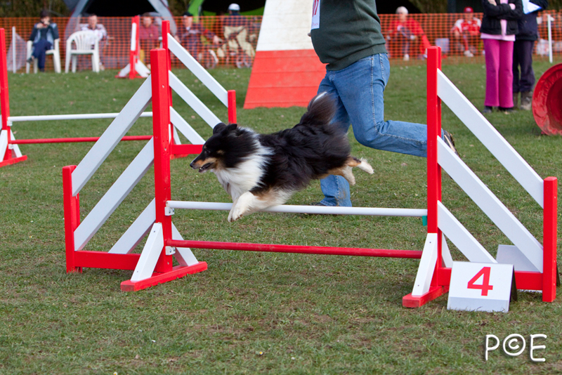090315_MG_3098.jpg - Agility à Chamouilley