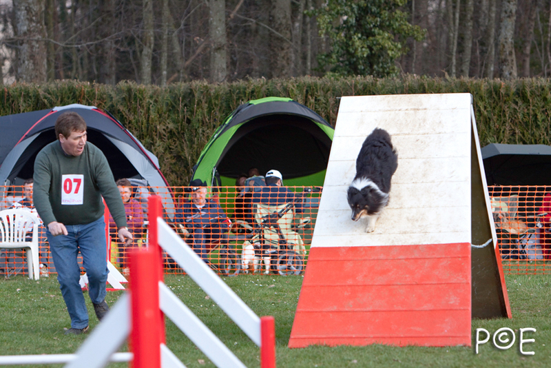 090315_MG_3102.jpg - Agility à Chamouilley
