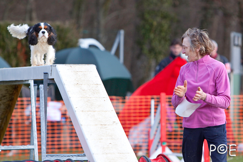 090315_MG_3106.jpg - Agility à Chamouilley