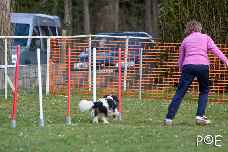 090315_MG_3107.jpg - Agility à Chamouilley