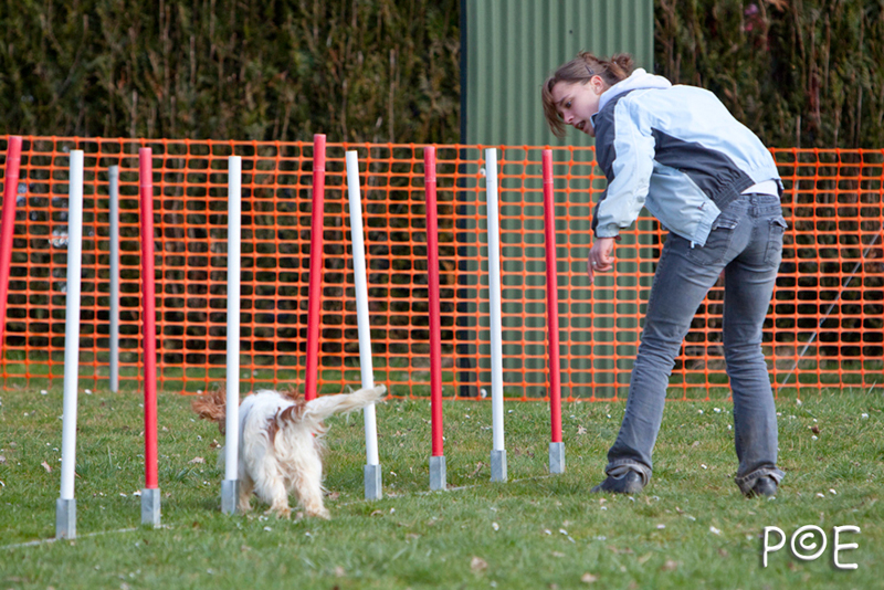 090315_MG_3141.jpg - Agility à Chamouilley