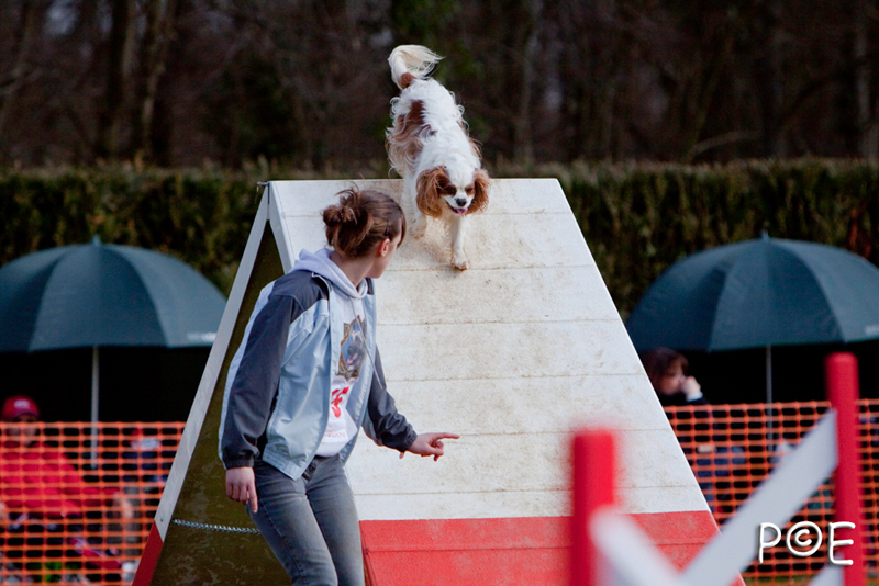 090315_MG_3145.jpg - Agility à Chamouilley