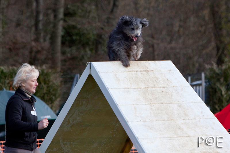 090315_MG_3167.jpg - Agility à Chamouilley