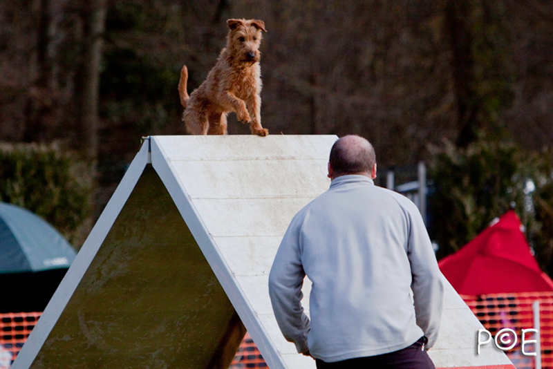 090315_MG_3186.jpg - Agility à Chamouilley