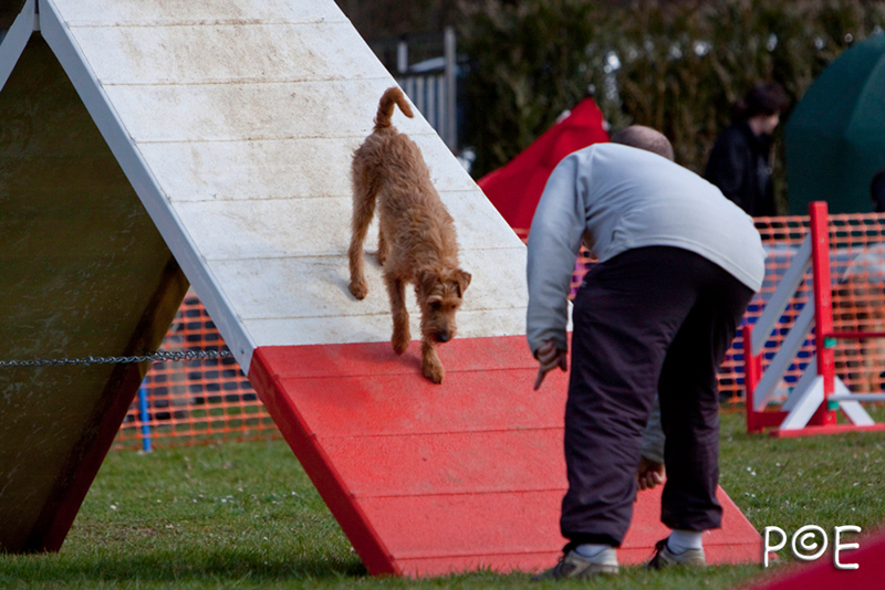 090315_MG_3193.jpg - Agility à Chamouilley