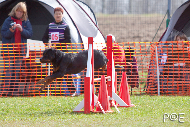 090315_MG_3217.jpg - Agility à Chamouilley