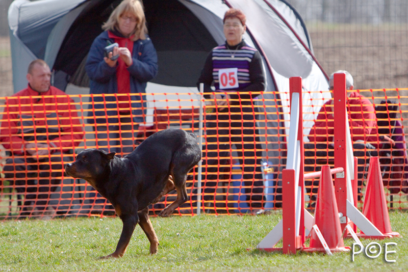 090315_MG_3218.jpg - Agility à Chamouilley