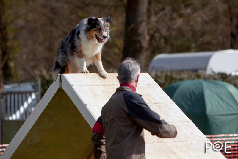 090315_MG_3242.jpg - Agility à Chamouilley