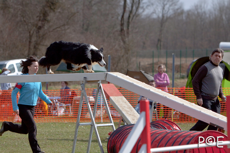090315_MG_3253.jpg - Agility à Chamouilley