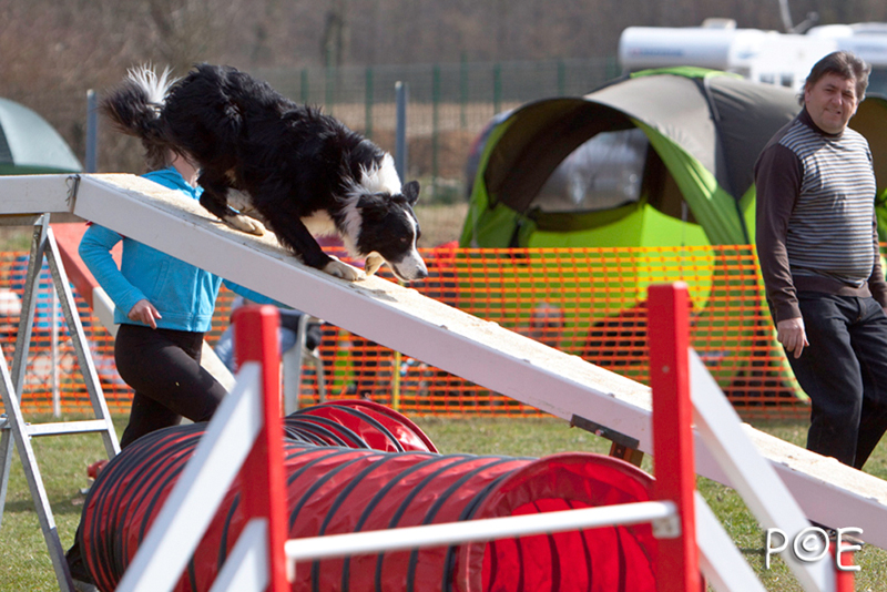 090315_MG_3256.jpg - Agility à Chamouilley