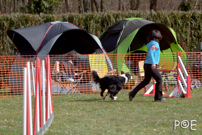 090315_MG_3258.jpg - Agility à Chamouilley