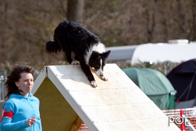 090315_MG_3260.jpg - Agility à Chamouilley