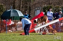 090315_MG_2862
