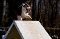 090315_MG_2864