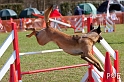 090315_MG_2920