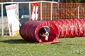090315_MG_2927