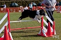 090315_MG_2950