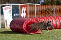 090315_MG_2953