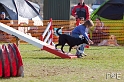090315_MG_2962
