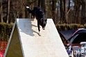 090315_MG_2965