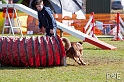 090315_MG_2968