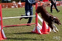 090315_MG_2974