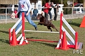 090315_MG_2985
