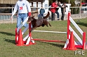 090315_MG_2986
