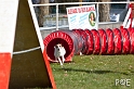 090315_MG_2994