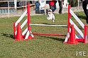 090315_MG_2996