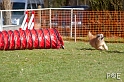 090315_MG_2999