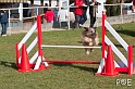 090315_MG_3003