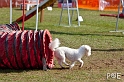 090315_MG_3007