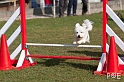 090315_MG_3025