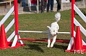 090315_MG_3026