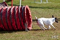 090315_MG_3028