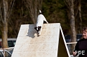 090315_MG_3034