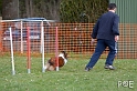 090315_MG_3069
