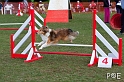 090315_MG_3081