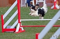 090315_MG_3108