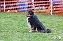 090315_MG_3113