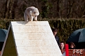 090315_MG_3160