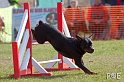 090315_MG_3221