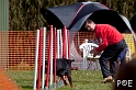 090315_MG_3228