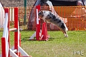 090315_MG_3235