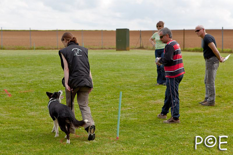 090509_MG_2017.jpg - Education canine