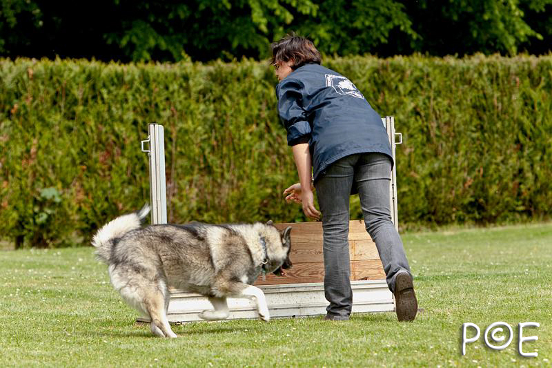 090509_MG_5507.jpg - Education canine