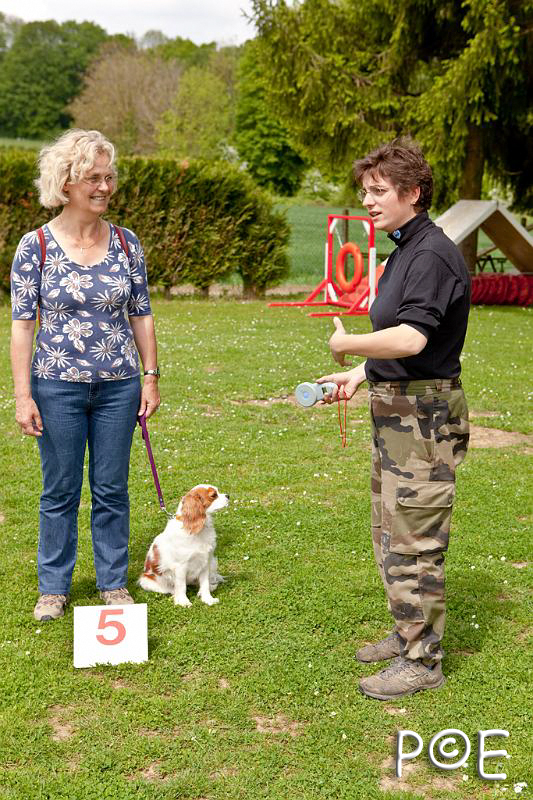 090509_MG_1988.jpg - Education canine