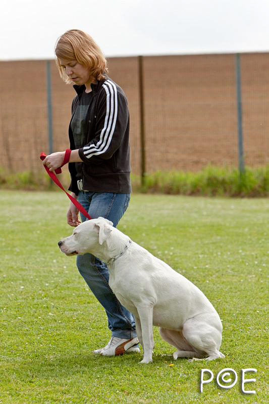 090509_MG_5370.jpg - Education canine